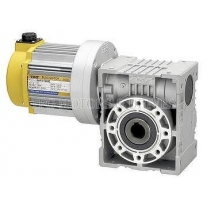 Brushiess Hollw Shaft Worm Gear Motor