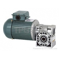 Hollow Shaft Worm Gear Reducer