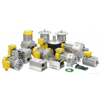 Tpg Brushless Hollow Shaft Worm Gear Motor